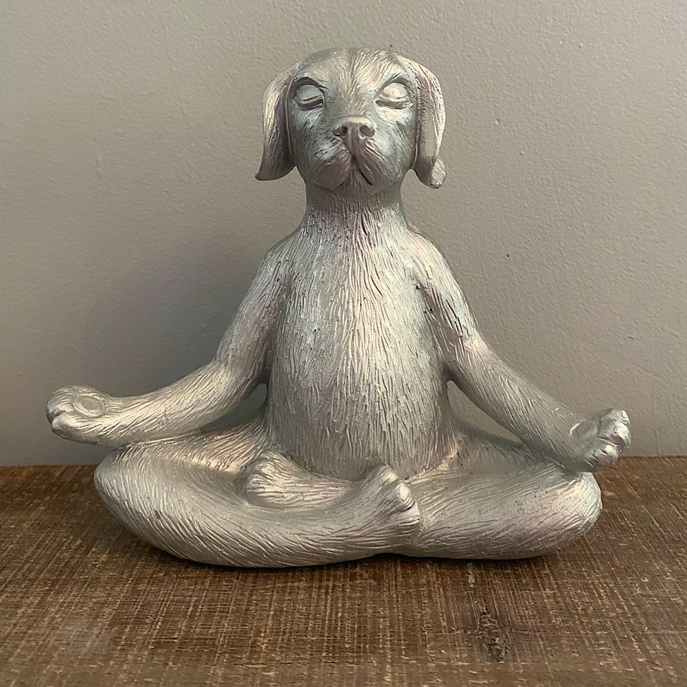Cute Meditating Buddha Dog